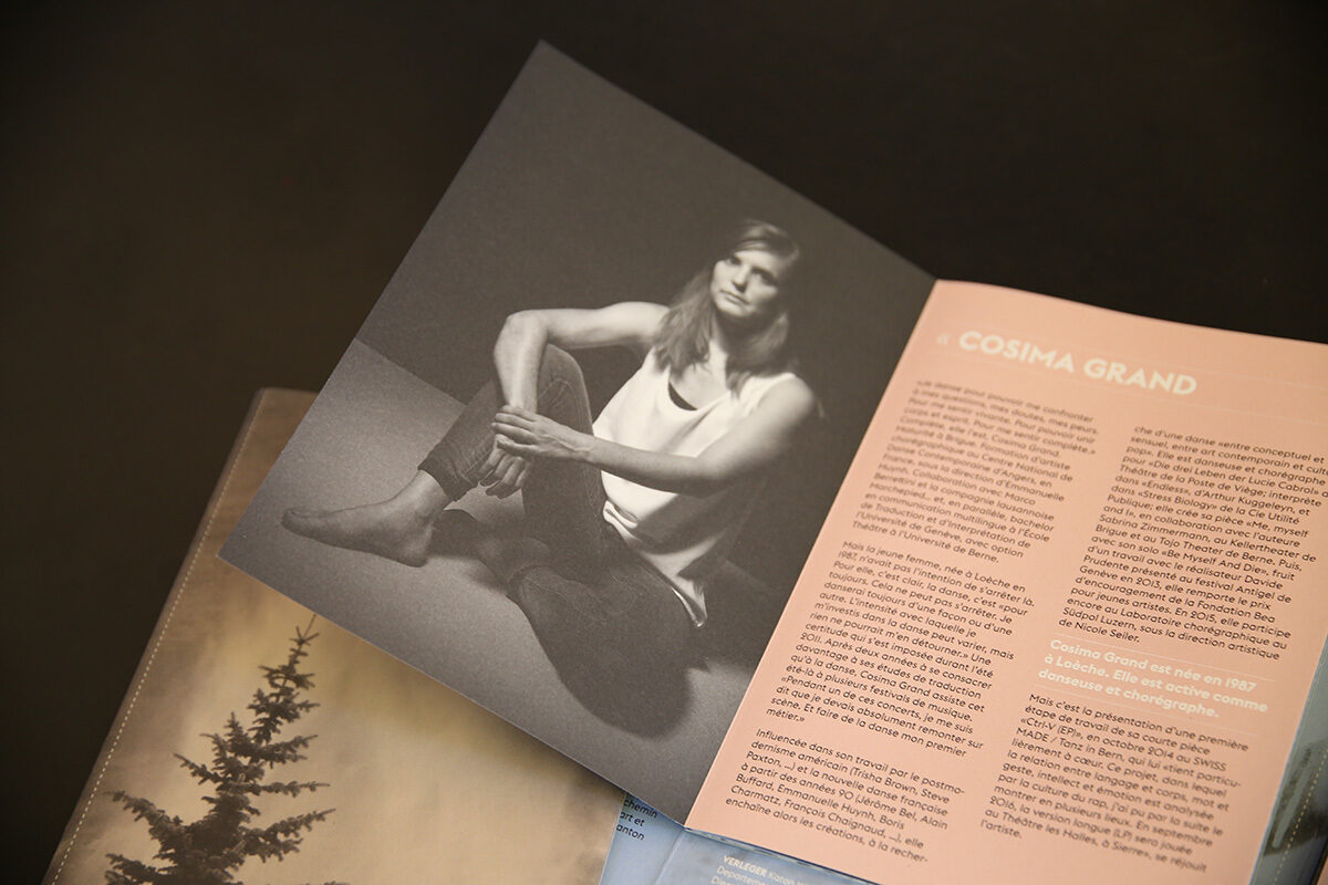 Gigergraphics News Kulturpreise6 Gigergraphics - Grafik / Cartoons / Werbekampagnen / Webdesign / Karikaturen / Illustrationen / Logos / Corporate Design