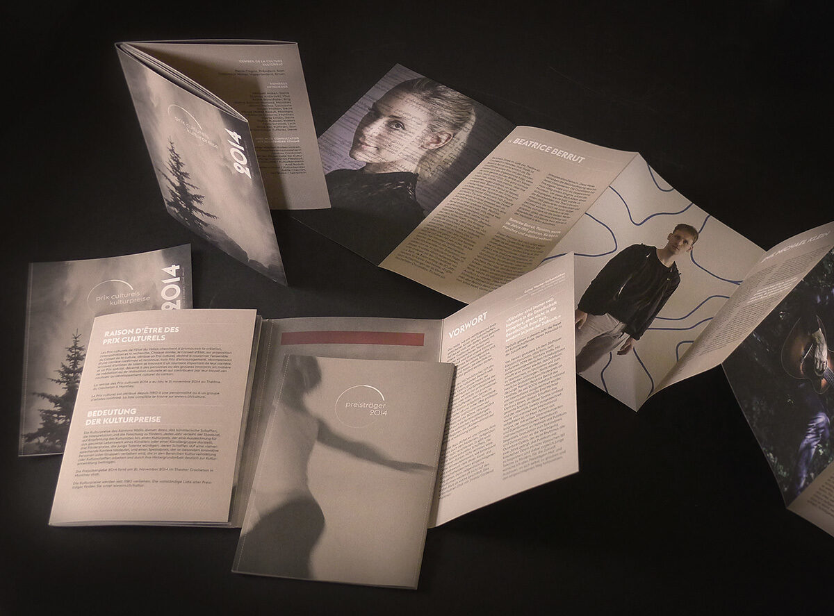 Gigergraphics News Kulturpreise8 Gigergraphics - Grafik / Cartoons / Werbekampagnen / Webdesign / Karikaturen / Illustrationen / Logos / Corporate Design