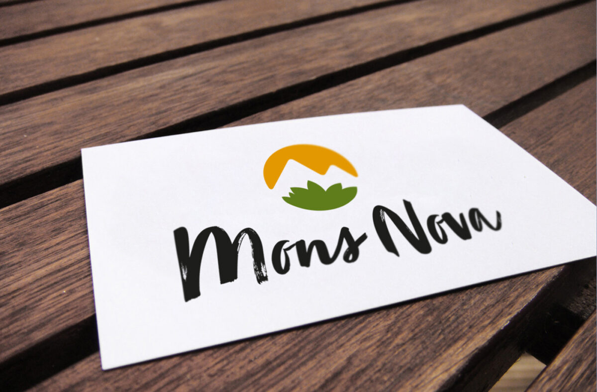 Gigergraphics News Monsnova1 Gigergraphics - Grafik / Cartoons / Werbekampagnen / Webdesign / Karikaturen / Illustrationen / Logos / Corporate Design