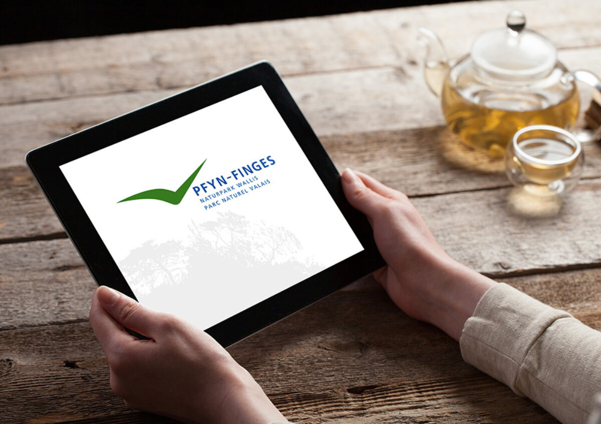 Gigergraphics News Pfynfinges5 Gigergraphics - Grafik / Cartoons / Werbekampagnen / Webdesign / Karikaturen / Illustrationen / Logos / Corporate Design