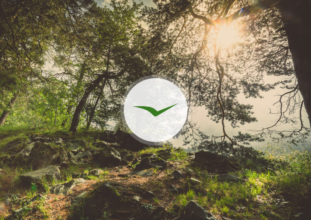 Gigergraphics News Pfynfinges6 Gigergraphics - Grafik / Cartoons / Werbekampagnen / Webdesign / Karikaturen / Illustrationen / Logos / Corporate Design