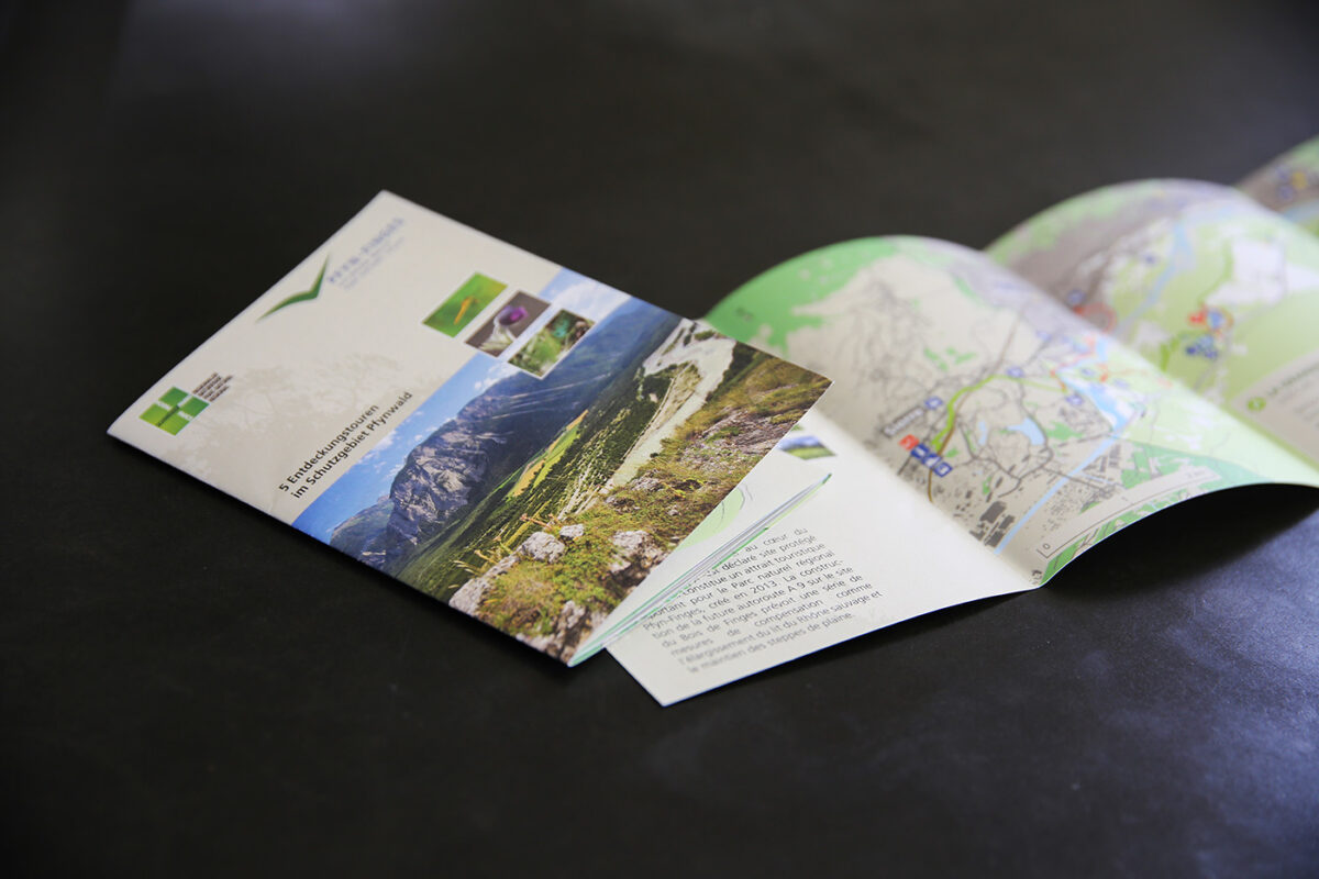 Gigergraphics News Pfynfinges8 Gigergraphics - Grafik / Cartoons / Werbekampagnen / Webdesign / Karikaturen / Illustrationen / Logos / Corporate Design