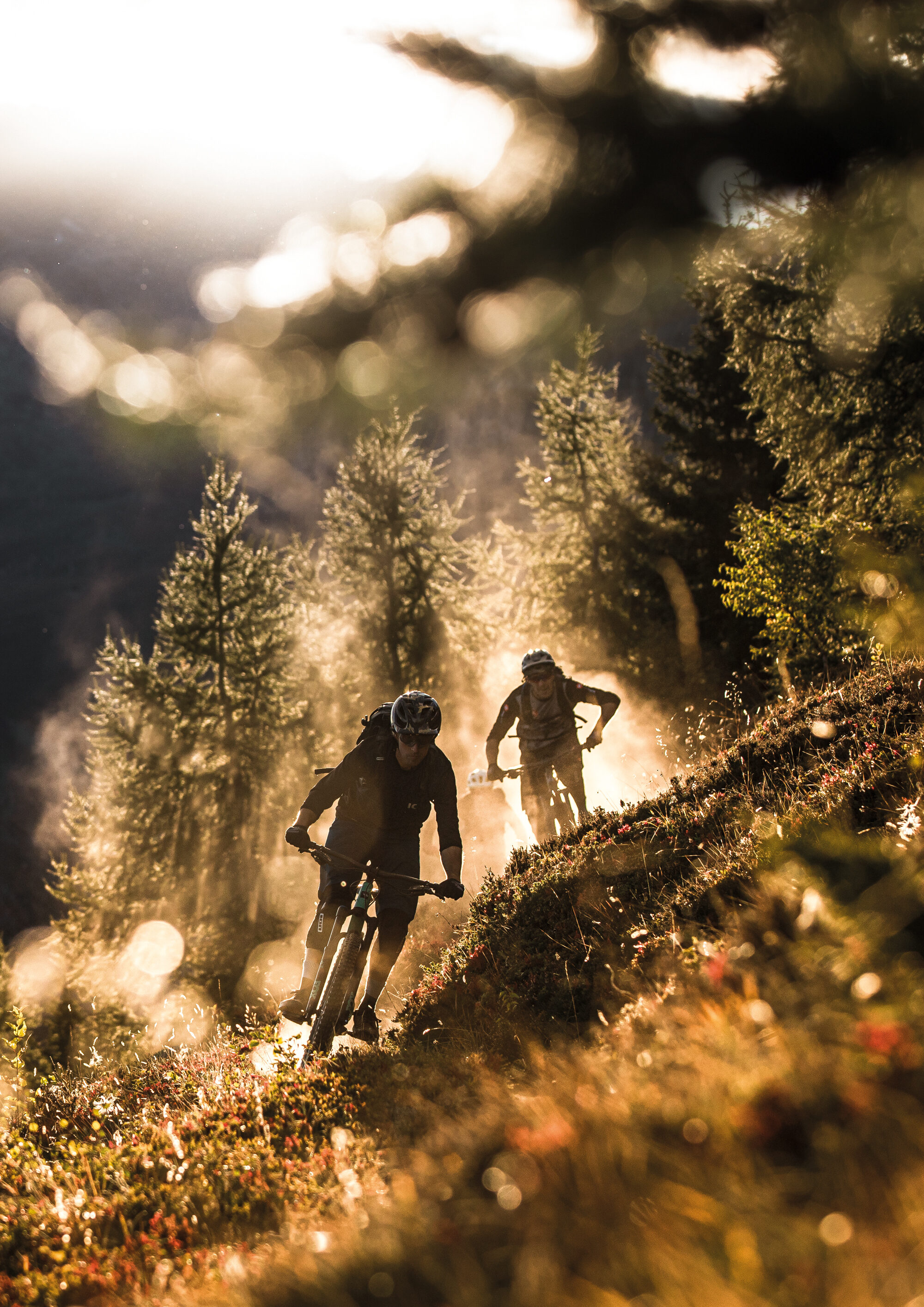 Gigergraphics News Rodeobike11 Gigergraphics - Grafik / Cartoons / Werbekampagnen / Webdesign / Karikaturen / Illustrationen / Logos / Corporate Design