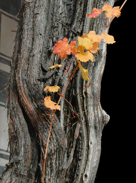 Gigergraphics News Kultour4 Gigergraphics - Grafik / Cartoons / Werbekampagnen / Webdesign / Karikaturen / Illustrationen / Logos / Corporate Design